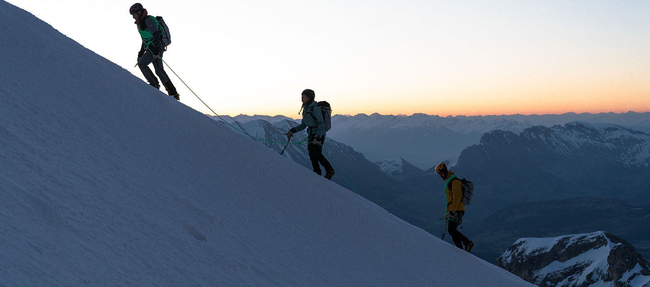 Salewa