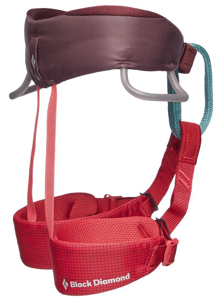 Black Diamond Momentum Kids Kinder Klettergurt wild rose Produktbild 1