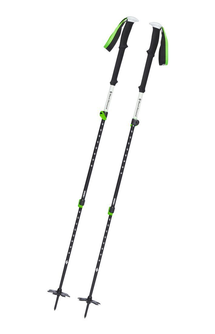 Black Diamond Expedition 3 Skitourenstock Produktbild 0