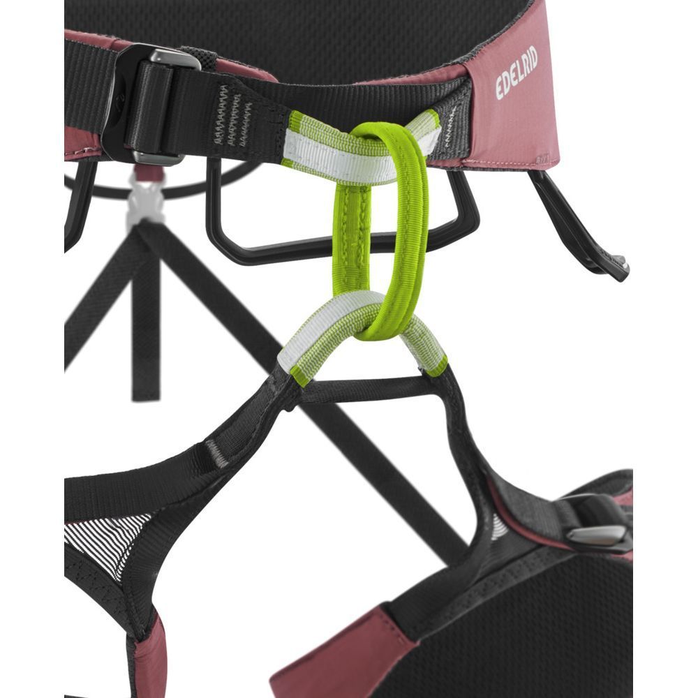 Edelrid Autana II raspberry Damen Klettergurt Produktbild 2