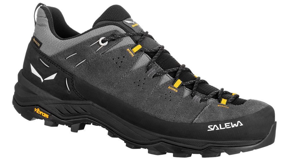Salewa Alp Trainer 2 GTX Herren Wanderschuh onyx/black Produktbild 0