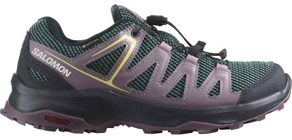 Salomon Custer GTX W Damen Wanderschuh ebony/moonscape/quail Produktbild 0
