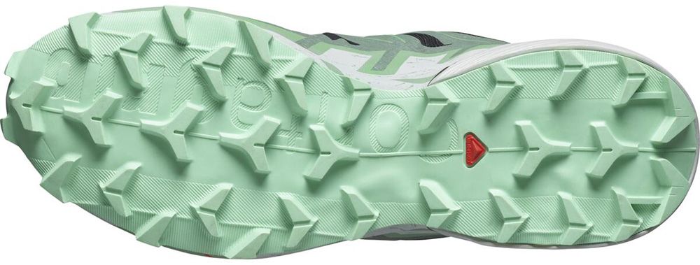 Salomon Speedcross 6 W Damen Trailrunningschuh black/laurel wreath/green ash Produktbild 1