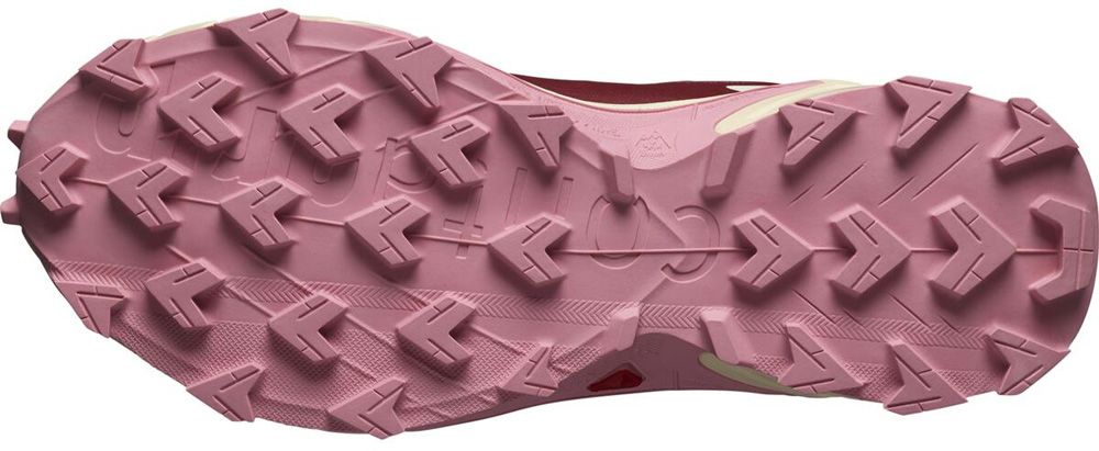 Salomon Supercross 4 GTX W Damen Trailrunningschuh cow hide/syrah/blush Produktbild 1