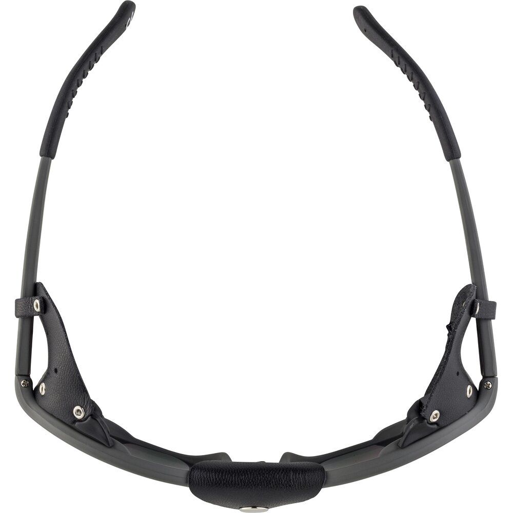 Alpina Sibiria Herren Sonnenbrille tin black matt Produktbild 1