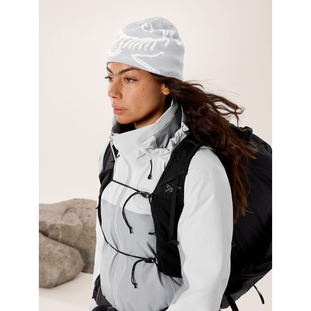 Arcteryx Bird Head Toque Mütze solitude / arctic silk Produktbild 3