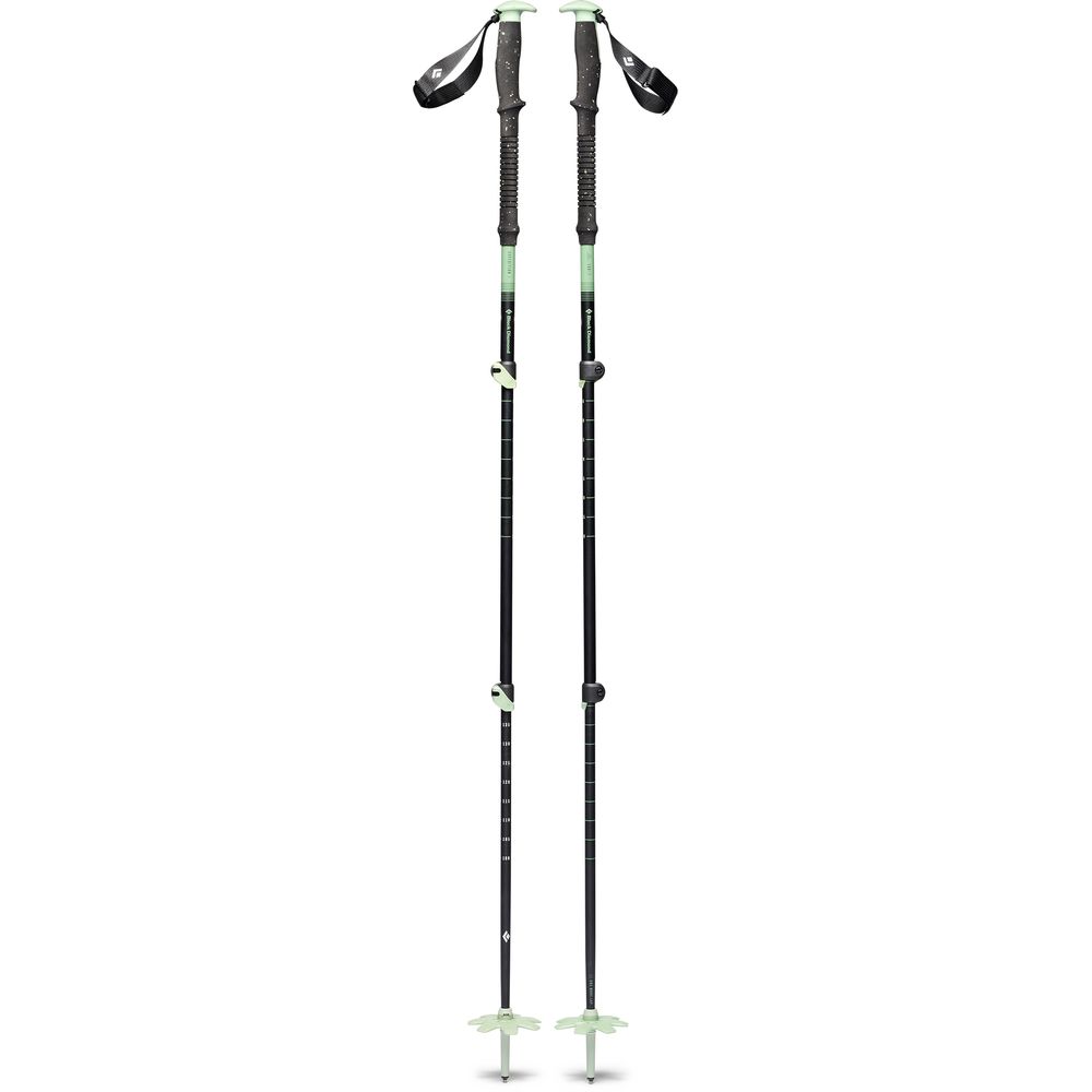 Black Diamond Expedition 3 Skistock desert sage Produktbild 0