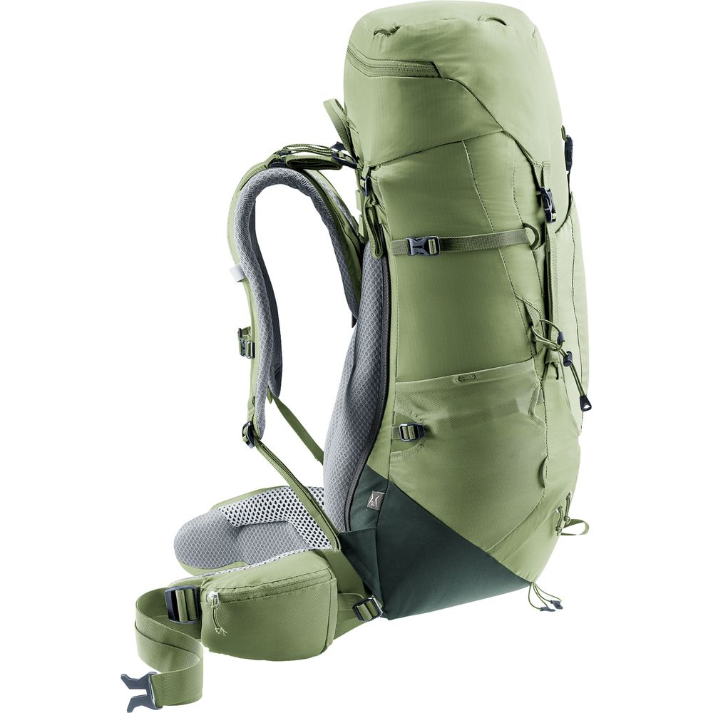 Deuter Aircontact Lite 35 + 10 SL Damen Trekkingrucksack grove ivy Produktbild 2