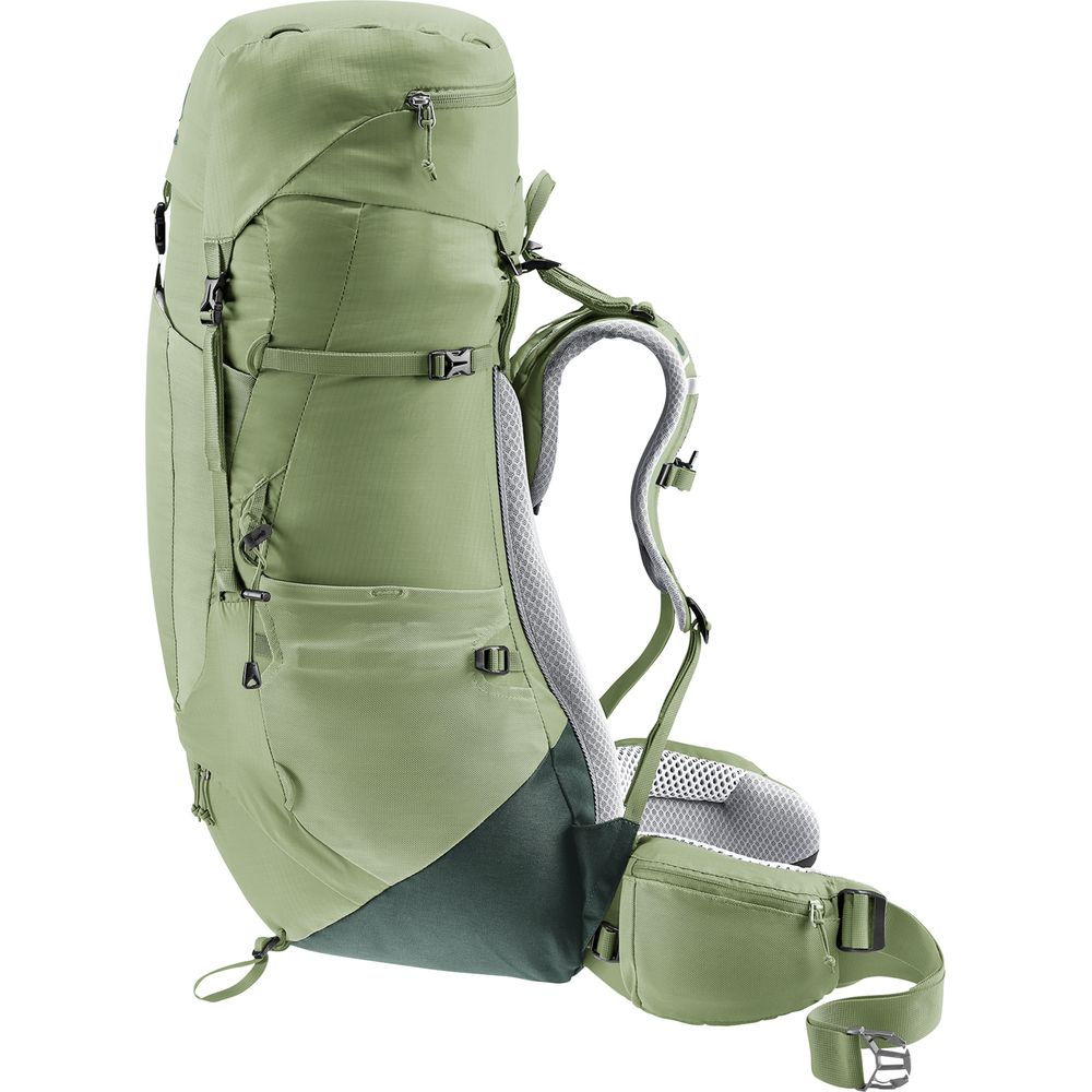 Deuter Aircontact Lite 45 + 10 SL Damen Trekkingrucksack grove-ivy Produktbild 4