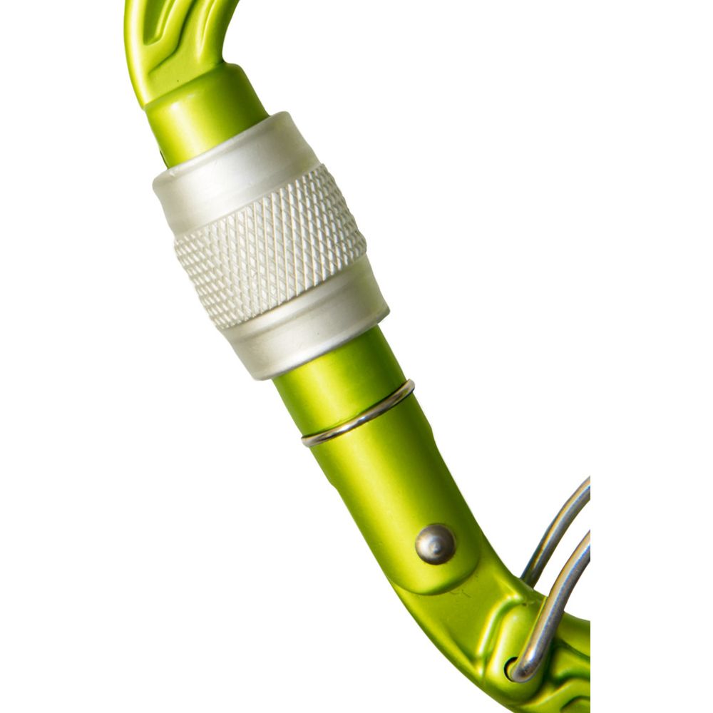 Edelrid HMS Bulletproof Screw FG HMS-Karabiner oasis Produktbild 3