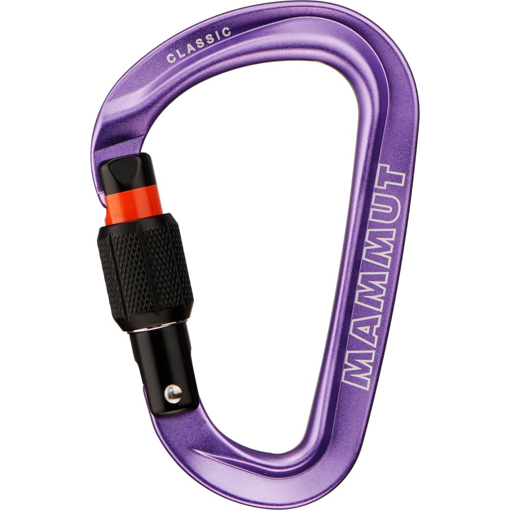 Mammut Classic HMS Screwgate Karabiner alpine calamint Produktbild 0