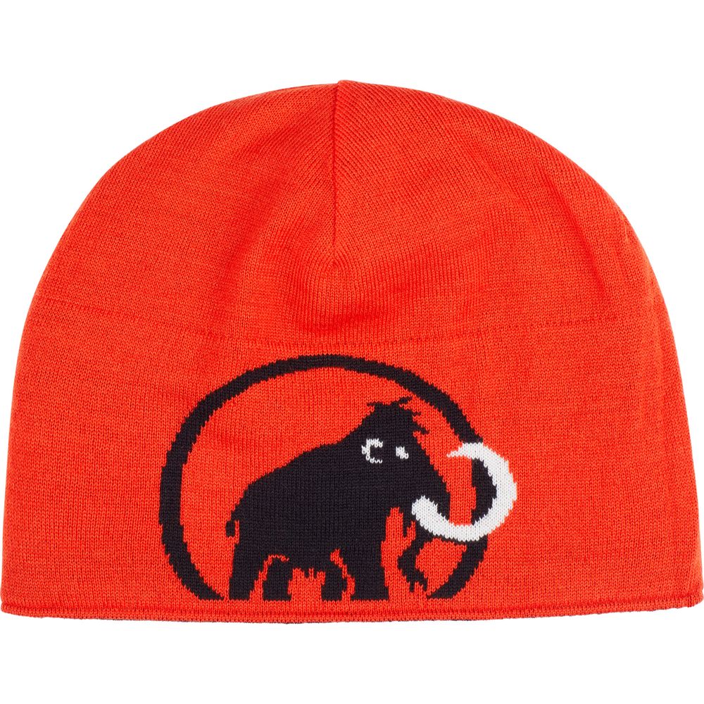 Mammut Mammut Logo Mütze black Produktbild 1