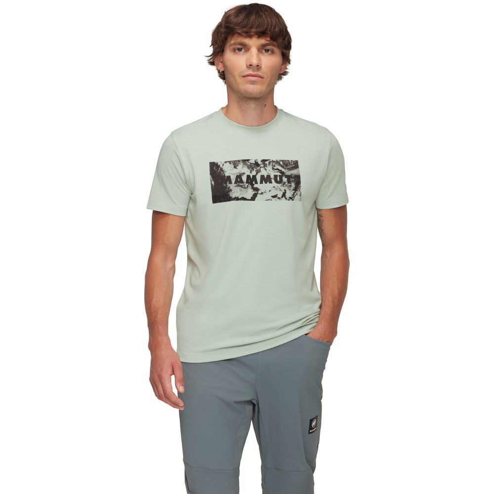 Mammut Trovat Logo Herren T-Shirt silver sage Produktbild 1