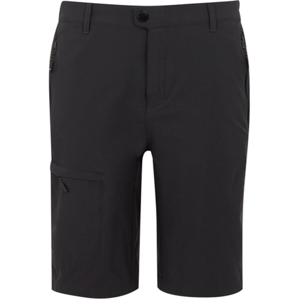 Regatta Highton II lange Wandershorts für Herren ash Produktbild 0