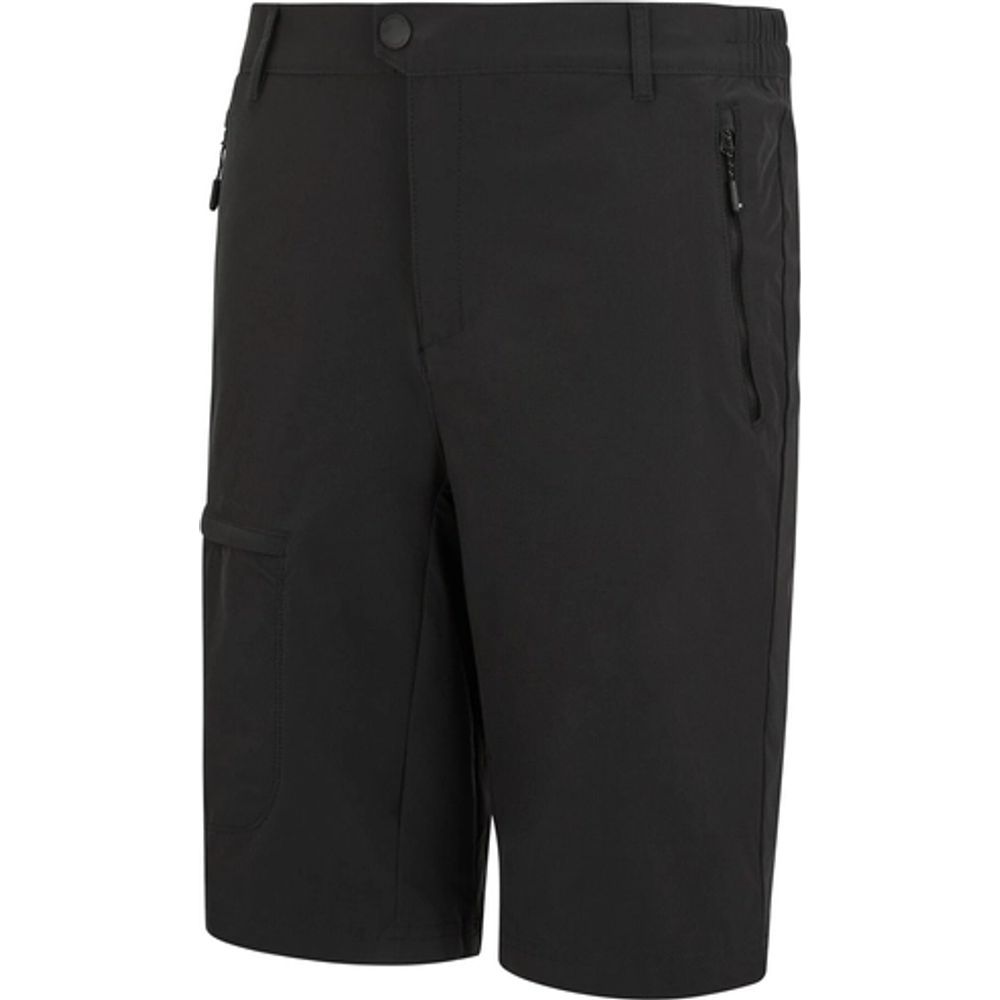Regatta Highton II lange Wandershorts für Herren ash Produktbild 2