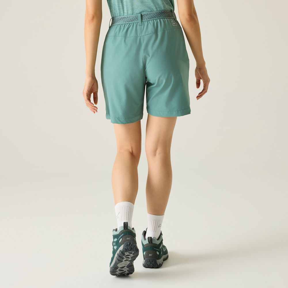 Regatta Mountain II Walking Shorts Short Damen ivy-moss Produktbild 4