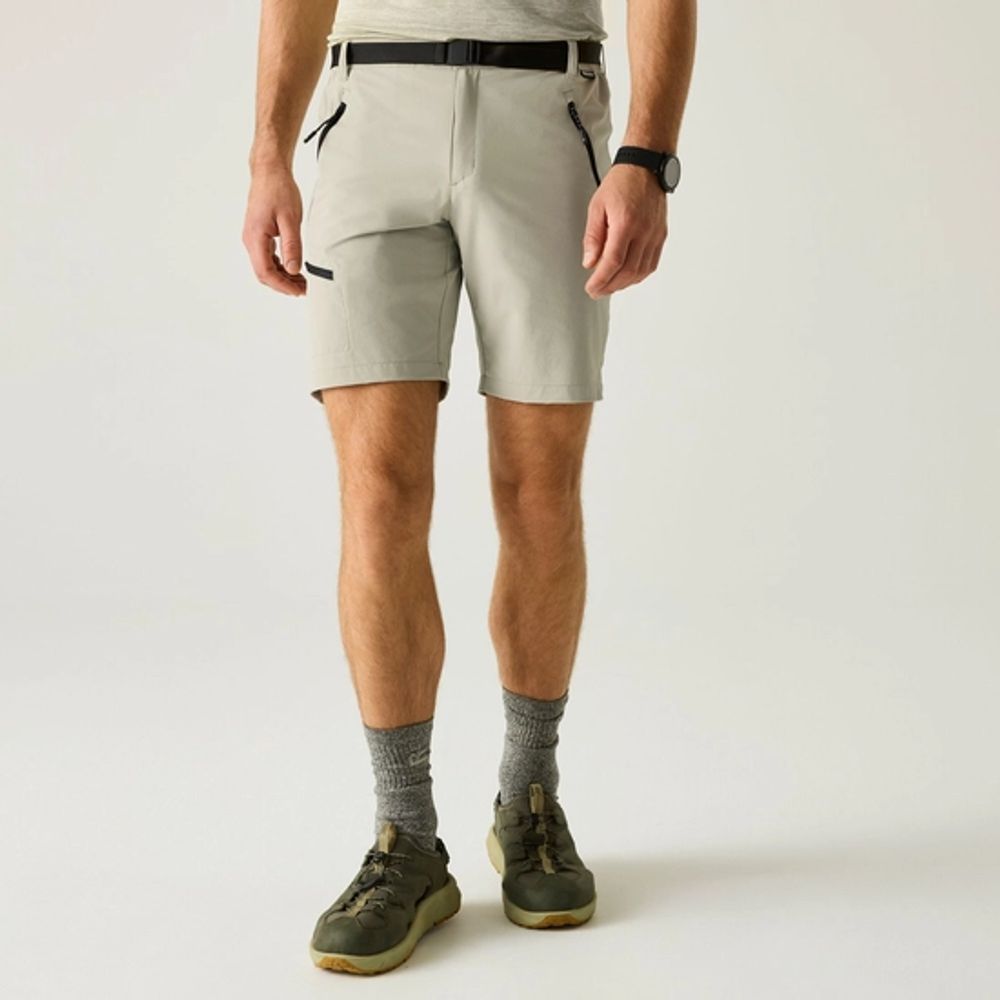Regatta Xert Stretch Shorts Herren abbeystone Produktbild 4