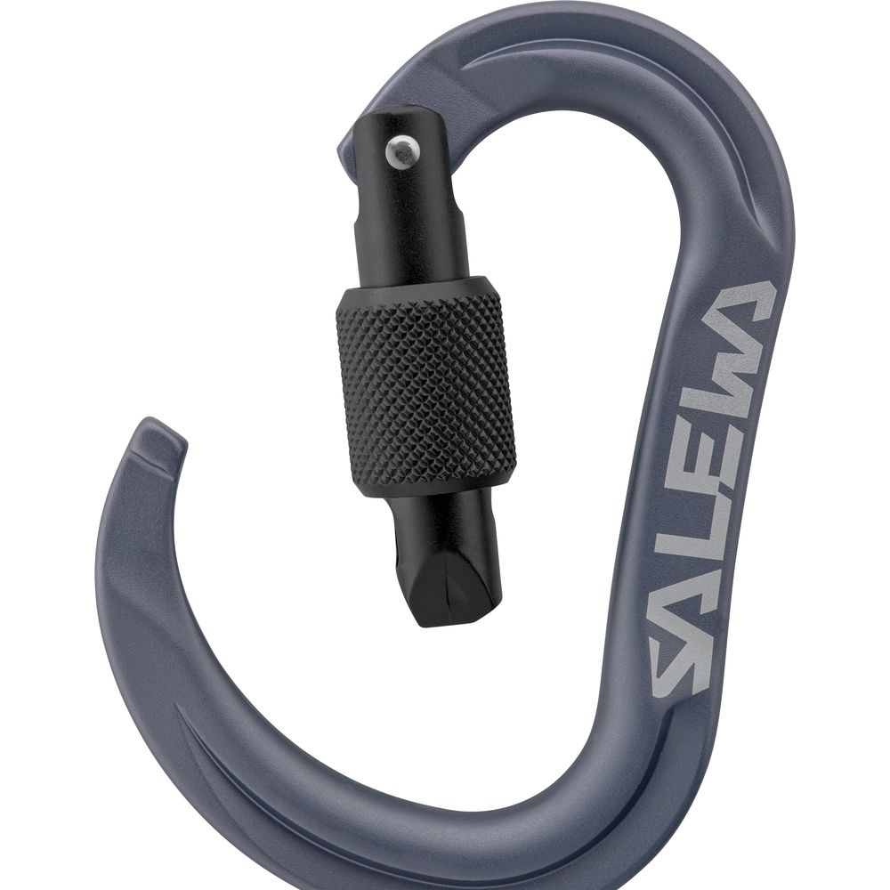 Salewa Ortles Hms S Carabiner grey Schraubkarabiner Produktbild 1