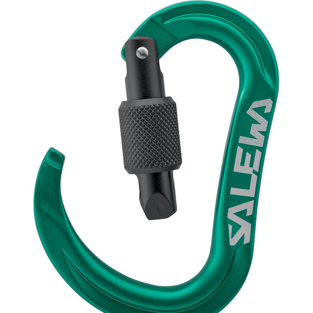 Salewa Ortles Hms S Carabiner irish green Schraubkarabiner Produktbild 2