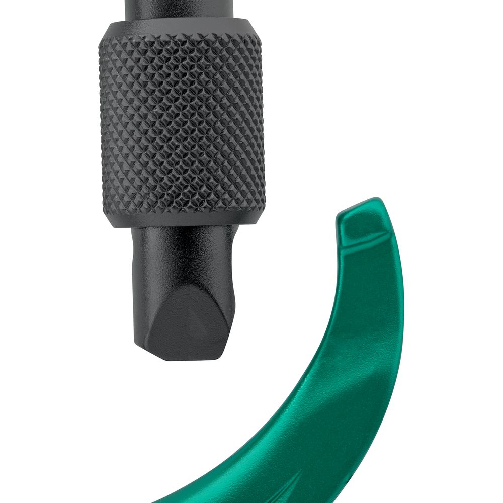 Salewa Ortles Hms S Carabiner irish green Schraubkarabiner Produktbild 3