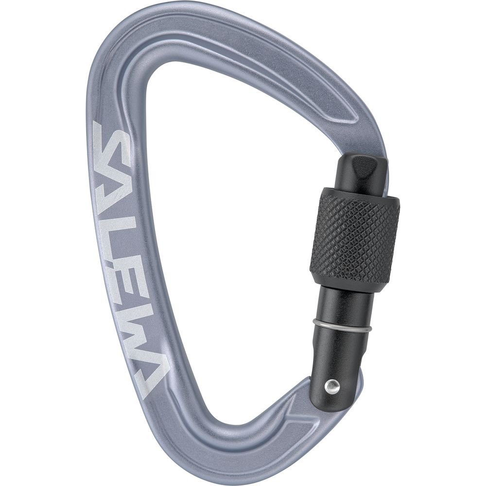 Salewa Ortles Screw Carabiner grey Schraubkarabiner Produktbild 0