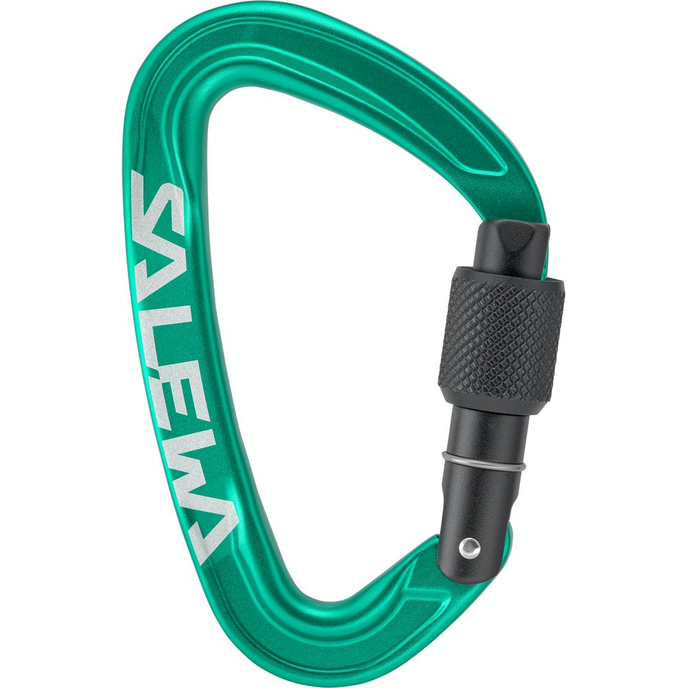 Salewa Ortles Screw Carabiner irish green Schraubkarabiner Produktbild 0