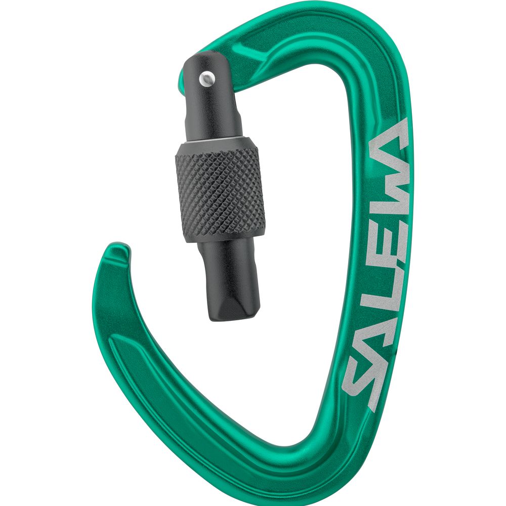 Salewa Ortles Screw Carabiner irish green Schraubkarabiner Produktbild 2
