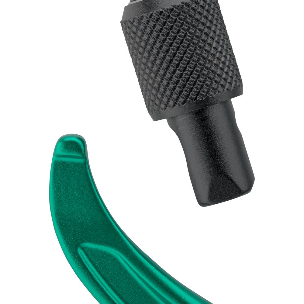 Salewa Ortles Screw Carabiner irish green Schraubkarabiner Produktbild 3