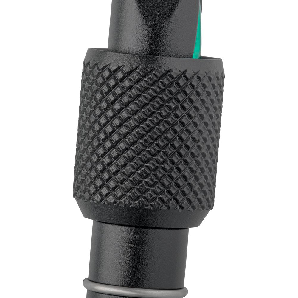 Salewa Ortles Screw Carabiner irish green Schraubkarabiner Produktbild 4