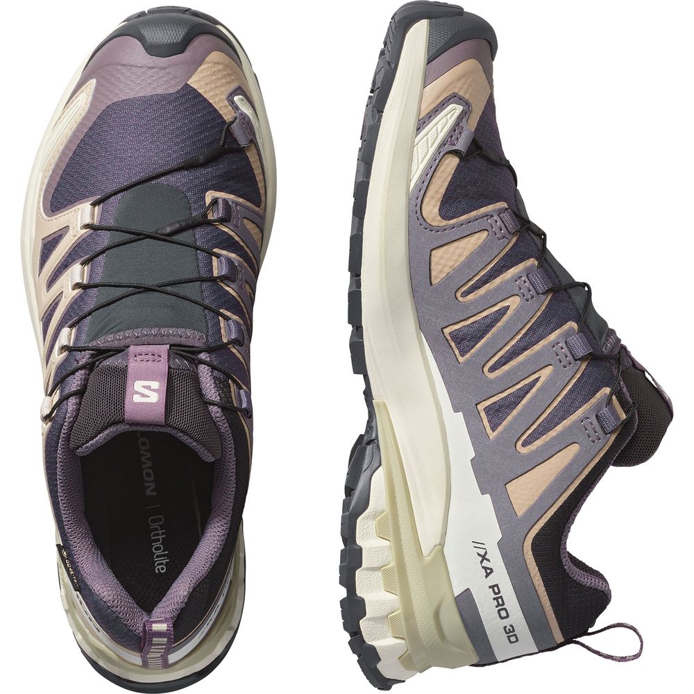 Salomon Shoe XA Pro 3D V9 GTX Damen Trailrunningschuh nine iron oxford tan alfalfa Produktbild 4