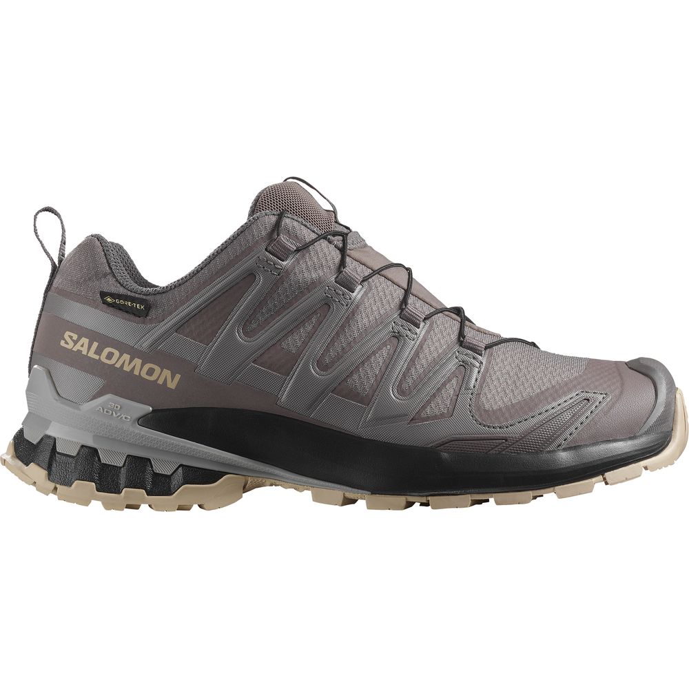Salomon Shoe XA Pro 3D V9 GTX Damen Trailrunningschuh plum kitten black gull Produktbild 0