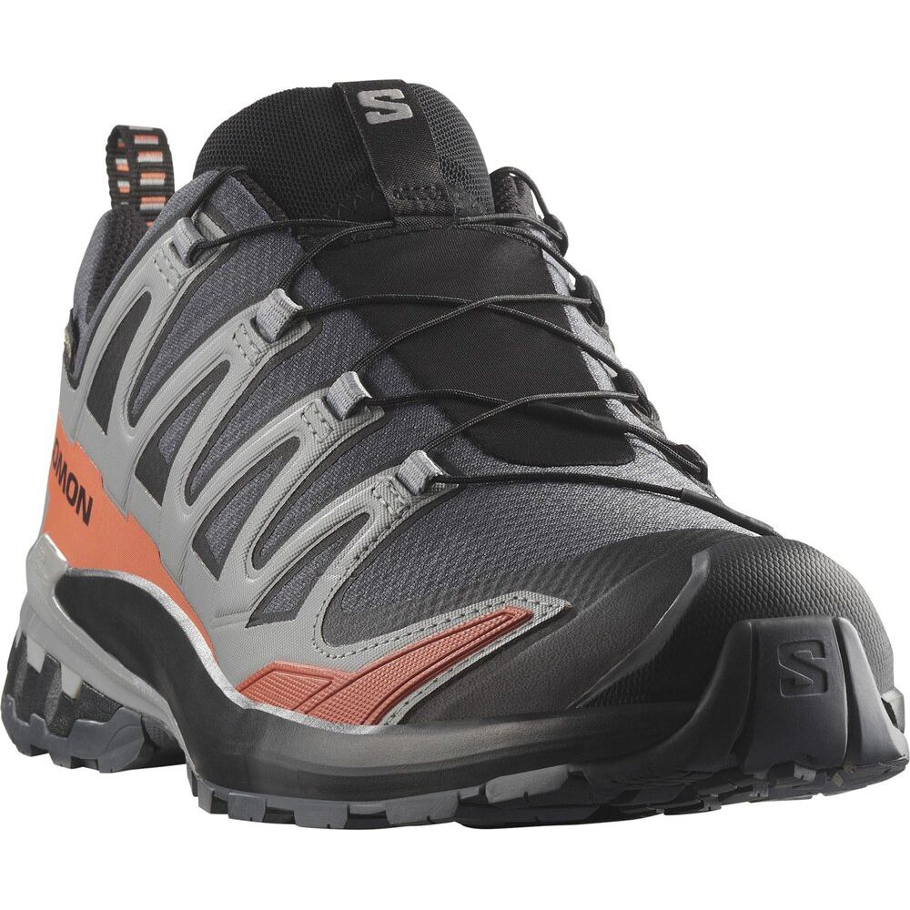 Salomon Shoe XA Pro 3D V9 GTX Herren Trailrunningschuh turbulence black burnt ochre Produktbild 4