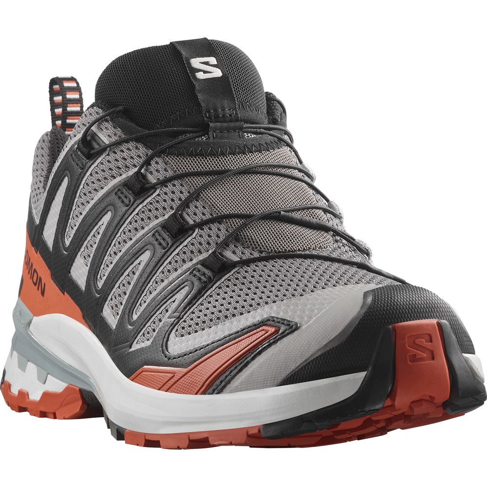 Salomon Shoe XA Pro 3D V9 Herren Trailrunningschuh castlerock black burnt ochre Produktbild 2