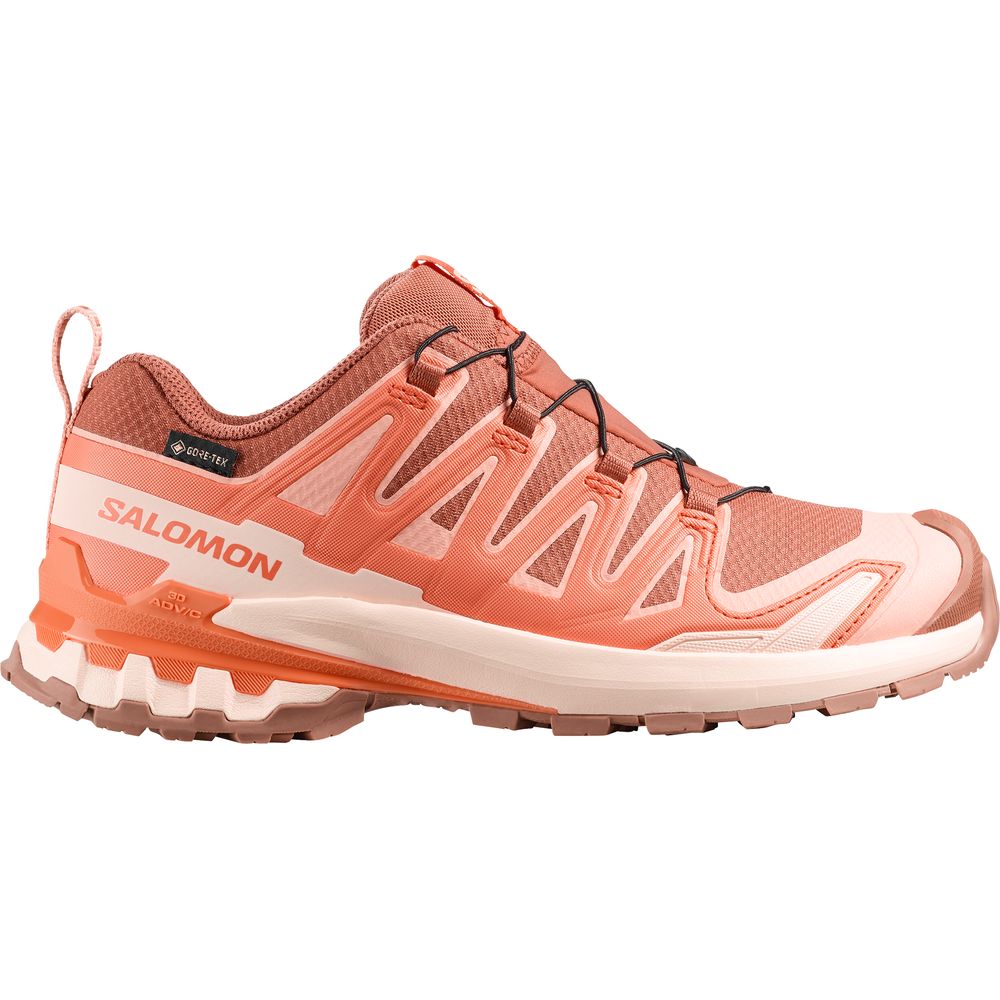 Salomon Shoes XA Pro 3D V9 GTX Damen Trailrunningschuh pecan-brown-nectarine-almond-cream Produktbild 0