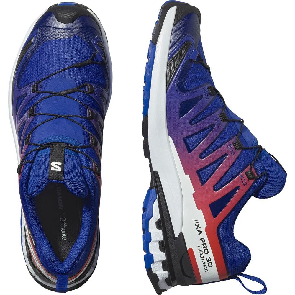 Salomon Shoes XA Pro 3D V9 GTX Equipe Herren Trailrunningschuh Surf W/fir surf-the-web-fiery-red-white Produktbild 2