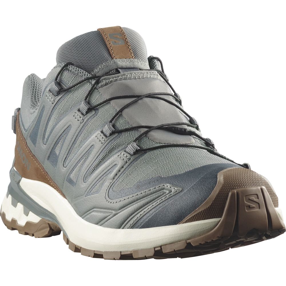 Salomon Shoes Xa Pro 3D V9 GTX Lifelong Herren Trailrunningschuh sedona sage/coyote brown/vanilla ic Produktbild 1