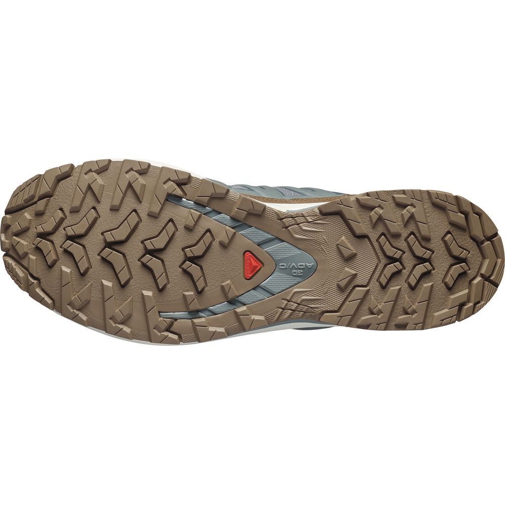 Salomon Shoes Xa Pro 3D V9 GTX Lifelong Herren Trailrunningschuh sedona sage/coyote brown/vanilla ic Produktbild 3