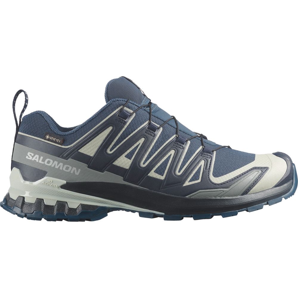 Salomon Xa Pro 3D V9 GTX Herren Trailrunningschuh spellbound/maritime blue/wrought iron Produktbild 0