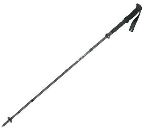 Camp Carbon Mix Wanderstock Produktbild 1