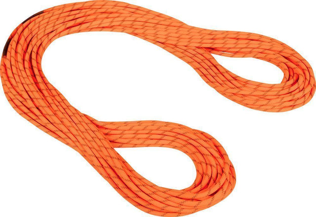 Mammut Alpine Dry 8,0 mm Rope 60 m Kletterseil safety orange-boa Produktbild 0