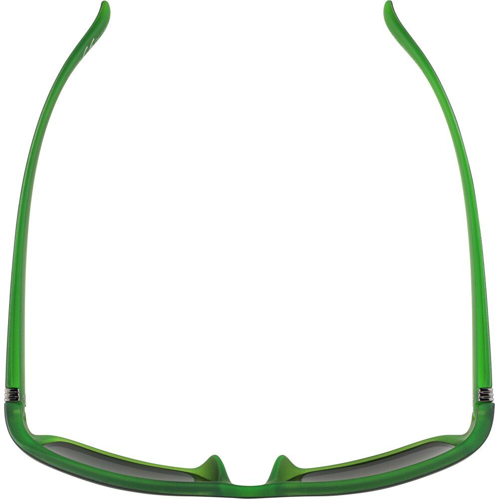 Alpina Kacey Herren Sonnenbrille black green matt Produktbild 1