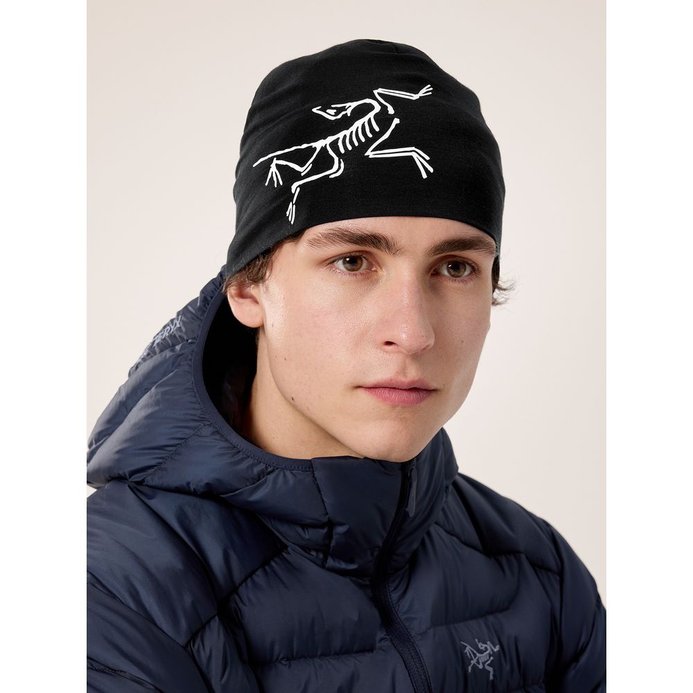 Arcteryx Satoro Merino Herren Mütze black / arctic silk Produktbild 2