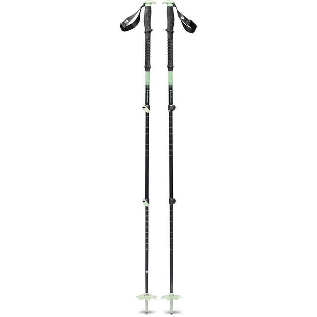 Black Diamond Expedition 3 Skistock desert sage Produktbild 0