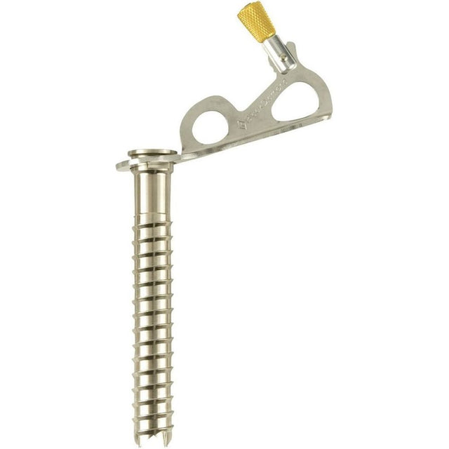 Black Diamond Express Ice Screw 13 CM Produktbild 0