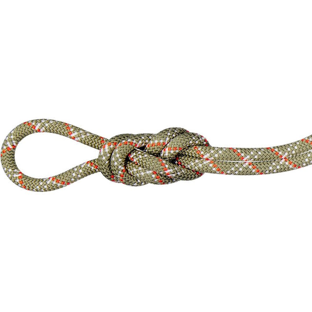 Mammut 9.5 Gym Classic Rope 40m boa-white Produktbild 0
