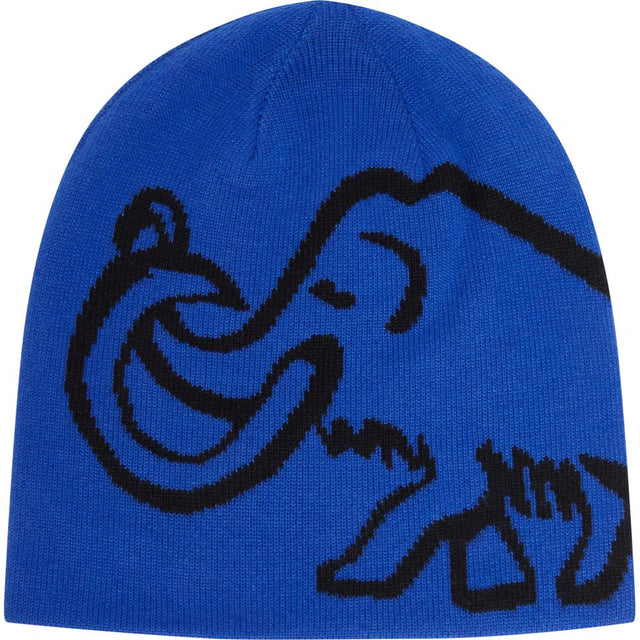 Mammut Logo Beanie Reversible Mütze eiger-blue-black Produktbild 0