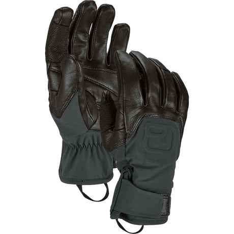 Ortovox Alpine Pro Glove Herren Handschuhe black-raven Produktbild 0