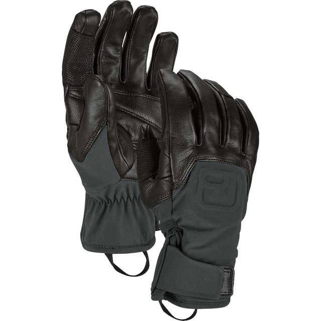 Ortovox Alpine Pro Glove Herren Handschuhe black-raven Produktbild 0