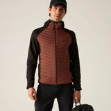 Regatta Andreson Herren Hybrid-Isolationsjacke burnthen-blk Produktbild 5