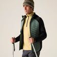 Regatta Andreson Hybridjacke Herren dark forest green - black Produktbild 0